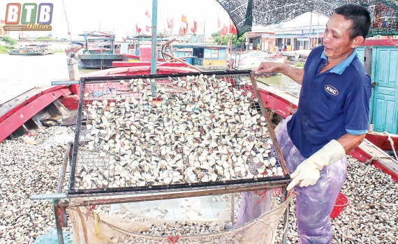 Vang mãi khúc ca xuân