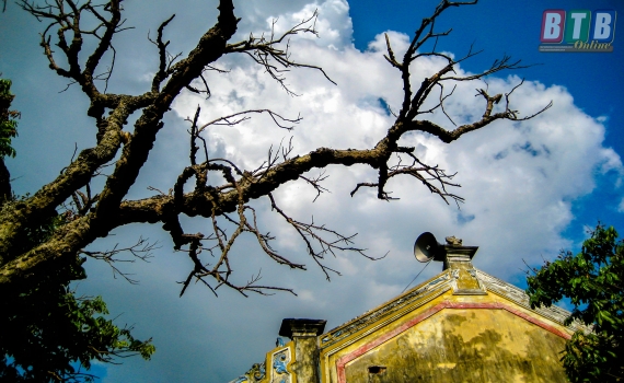 Ngọt ng&agrave;o gọi b&igrave;nh minh