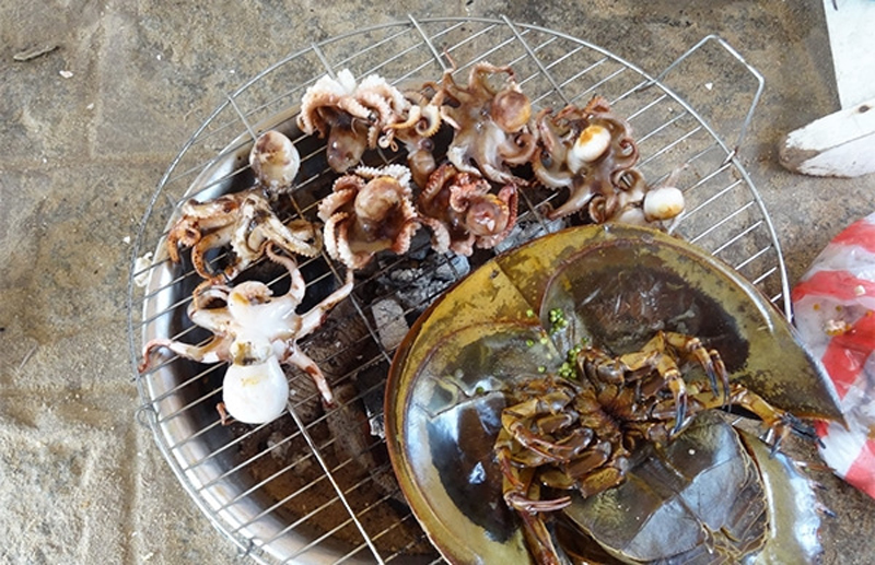 thảo nguyên ở ninh thuận 