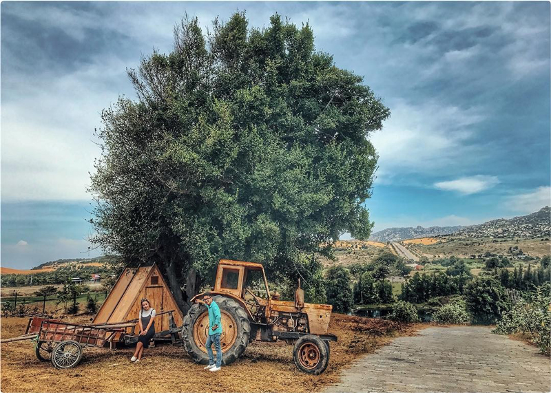 thảo nguyên ở ninh thuận 