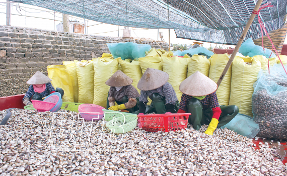 Nông nghiệp: Một năm nhiều thắng lợi