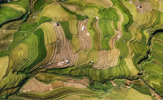 Việt Nam gi&agrave;nh huy chương v&agrave;ng ảnh quốc tế tại Ấn Độ