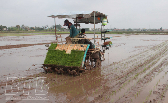 Khẩn trương cho sản xuất vụ xu&acirc;n