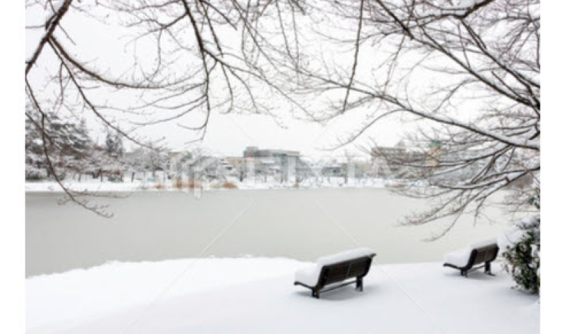 Cuộc sống người d&acirc;n Nhật Bản đảo lộn v&igrave; b&atilde;o tuyết