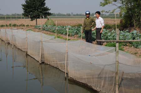 L&agrave;m gi&agrave;u nhờ nu&ocirc;i ếch