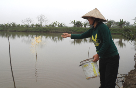 L&agrave;m gi&agrave;u từ m&ocirc; h&igrave;nh chăn nu&ocirc;i tổng hợp 