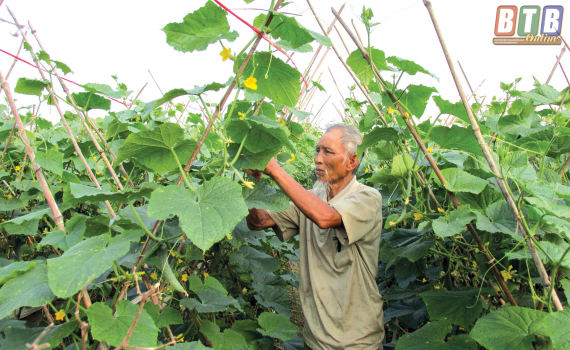 Hướng đ&iacute;ch n&ocirc;ng th&ocirc;n mới