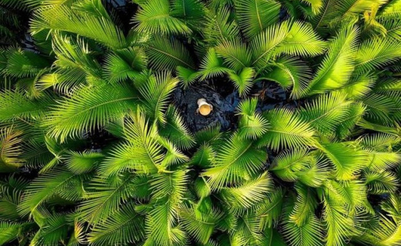 Top 50 ảnh thi&ecirc;n nhi&ecirc;n 2020 c&oacute; nhiều cảnh đẹp của Việt Nam