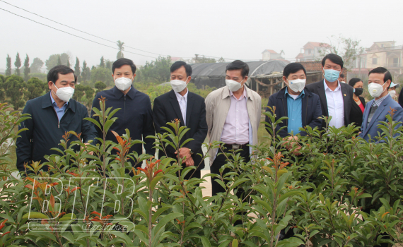 Đồng ch&iacute; Nguyễn Tiến Th&agrave;nh, Ph&oacute; B&iacute; thư thường trực Tỉnh ủy, Chủ tịch HĐND tỉnh kiểm tra, chỉ đạo c&ocirc;ng t&aacute;c sản xuất n&ocirc;ng nghiệp tại Đ&ocirc;ng Hưng, Hưng H&agrave;