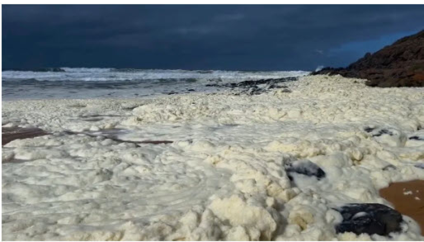 Australia đ&oacute;ng cửa 2 b&atilde;i biển do bọt phủ trắng