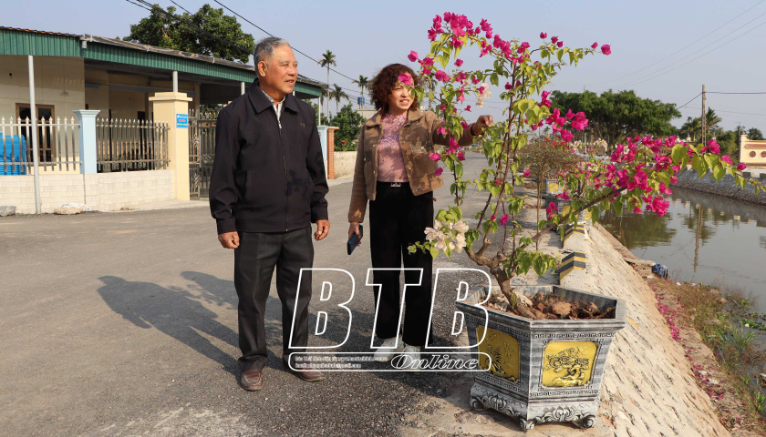 B&igrave;nh Định- miền qu&ecirc; đ&aacute;ng sống