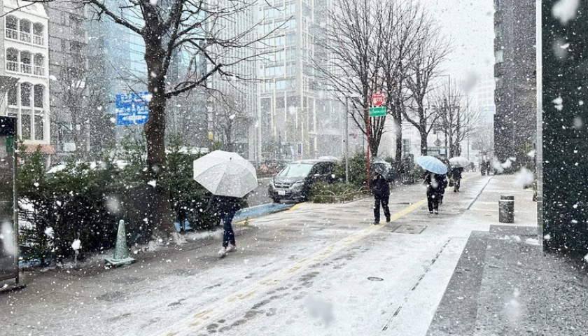 Nhật Bản: Tuyết rơi tr&aacute;i m&ugrave;a ở Tokyo, cảnh b&aacute;o thời tiết bất ổn