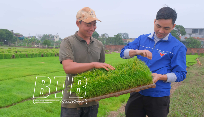 Thanh ni&ecirc;n Ph&uacute;c Th&agrave;nh: Thi đua ph&aacute;t triển kinh tế