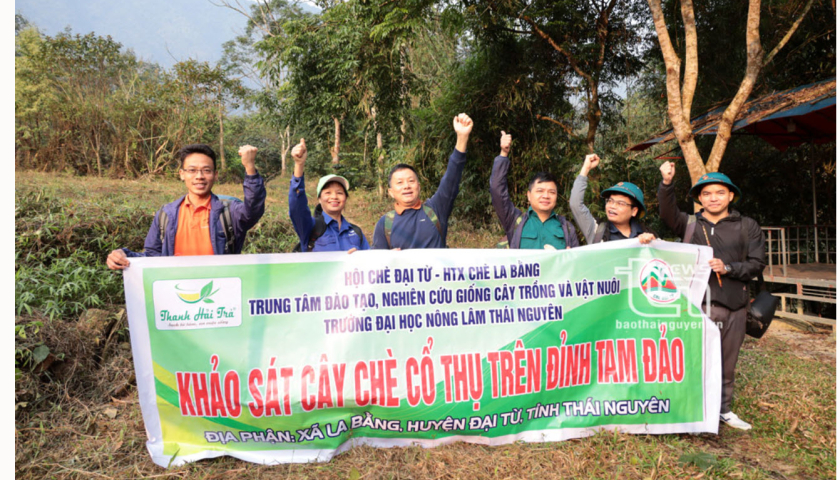 'V&eacute;n m&agrave;n' b&iacute; ẩn ch&egrave; cổ n&uacute;i Tam Đảo thuộc địa phận Th&aacute;i Nguy&ecirc;n - Kỳ 1: H&agrave;nh tr&igrave;nh vượt n&uacute;i