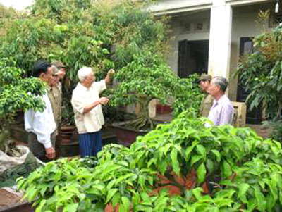 Quy định một số chế độ với đối tượng tham gia chiến tranh bảo vệ Tổ quốc, l&agrave;m nhiệm vụ quốc tế ở Cam - pu - chia, gi&uacute;p bạn L&agrave;o sau ng&agrave;y 30/4/1975. 