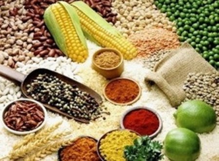 Ph&ecirc; duyệt danh mục dự &aacute;n do FAO, ILO t&agrave;i trợ