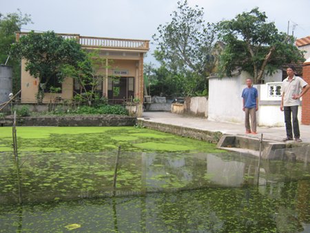 Để c&aacute;, t&ocirc;m&hellip; th&agrave;nh &ldquo;v&agrave;ng&rdquo; 