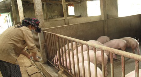 Kh&oacute; về ti&ecirc;u ch&iacute; m&ocirc;i trường 

