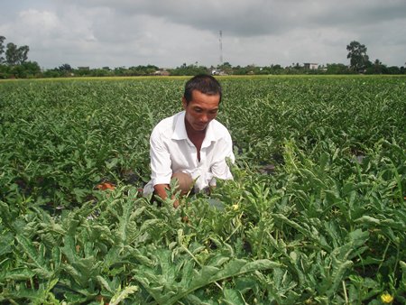 Huy động mọi nguồn lực&nbsp; x&acirc;y dựng n&ocirc;ng th&ocirc;n mới 