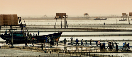 Để nu&ocirc;i trồng thủy sản th&ecirc;m dấu ấn mới