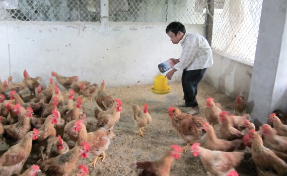 S&aacute;t c&aacute;nh c&ugrave;ng người khuyết tật