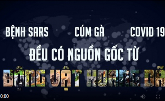 Ra mắt phim ngắn kh&ocirc;ng ti&ecirc;u thụ động vật hoang d&atilde; để bảo vệ sức khỏe