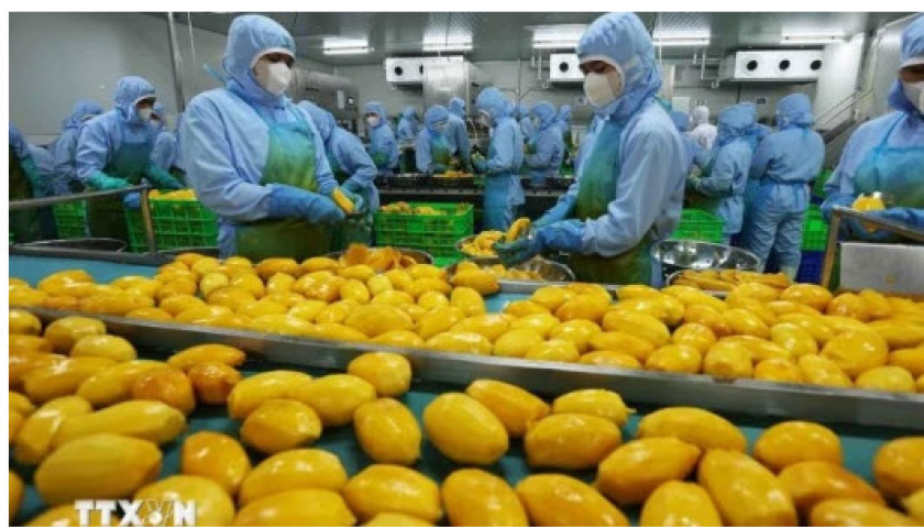 Nhật Bản nhận định Việt Nam l&agrave; thị trường đầy hứa hẹn