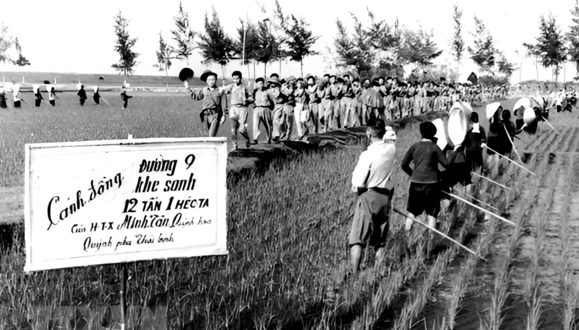 Th&aacute;i B&igrave;nh v&igrave; miền Nam ruột thịt