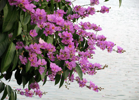 Gi&aacute; như, kh&ocirc;ng n&oacute;i lời tạ từ!