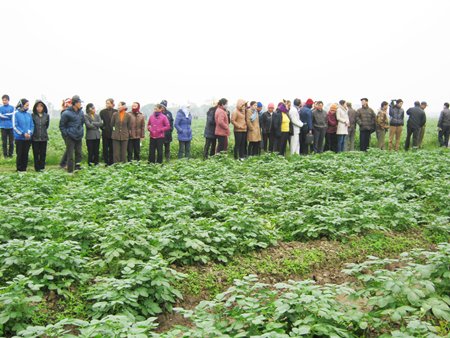 &ldquo;Nhất nước, nh&igrave; ph&acirc;n&hellip;&rdquo; vẫn c&ograve;n nguy&ecirc;n gi&aacute; trị 

