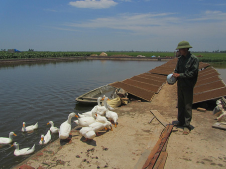 Một B&iacute; thư Đo&agrave;n x&atilde; l&agrave;m kinh tế giỏi