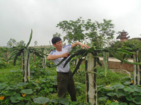 L&agrave;m gi&agrave;u từ đất bạc