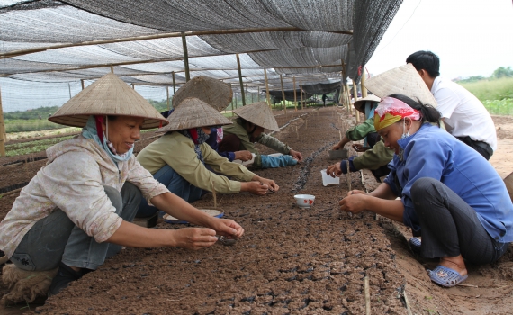 Hưng H&agrave; triển khai kế hoạch tổ chức c&aacute;c hoạt động kỷ niệm 70 năm ng&agrave;y Thương binh, Liệt sỹ (27/7/1947-27/7/2017).