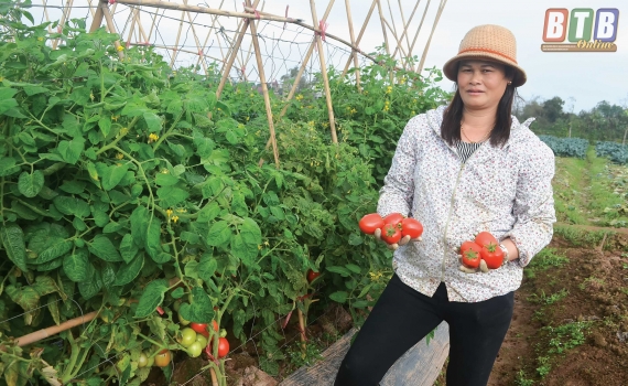 L&agrave;m gi&agrave;u từ rau m&agrave;u
