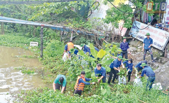 Những "đ&oacute;a hoa xanh"