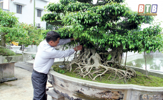 Đổi thay ở B&igrave;nh Minh