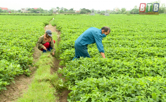 H&ograve;a An: Khởi đầu mới