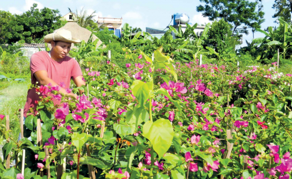Thanh ni&ecirc;n bắt nhịp chuyển đổi số
