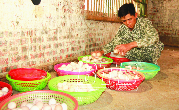 Anh H&ugrave;ng l&agrave;m kinh tế giỏi