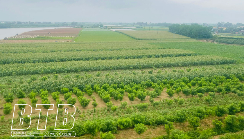 Kỳ 4: N&ocirc;ng nghiệp sinh th&aacute;i - Hướng đi mới cho v&ugrave;ng đất b&atilde;i