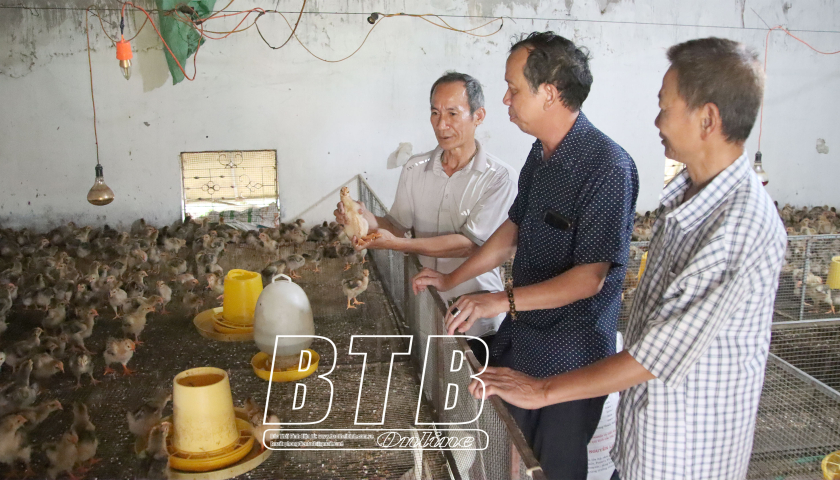 &Ocirc;ng Đỗ Văn Thưởng - người khuyết tật l&agrave;m kinh tế giỏi