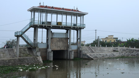 Chủ động tưới tiêu phục vụ sản xuất lúa mùa