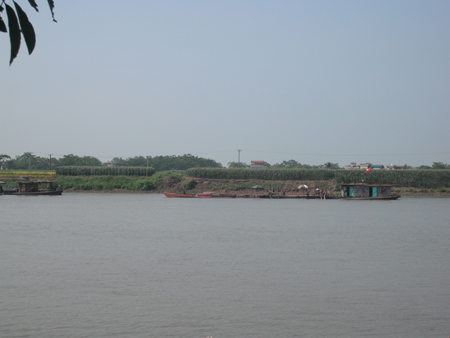 Lộng h&agrave;nh nạn khai th&aacute;c c&aacute;t tr&aacute;i ph&eacute;p ở Quỳnh Phụ