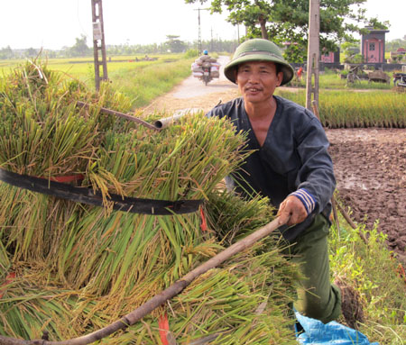 Rộn r&agrave;ng niềm vui được m&ugrave;a