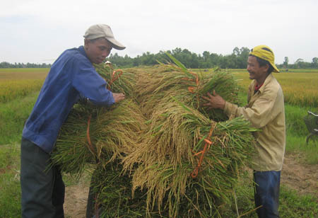 D&acirc;n kh&ocirc;ng ngại kh&oacute; 