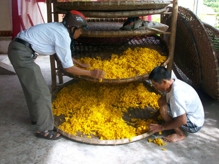 Tham gia hiệu quả phong tr&agrave;o x&acirc;y dựng n&ocirc;ng th&ocirc;n mới