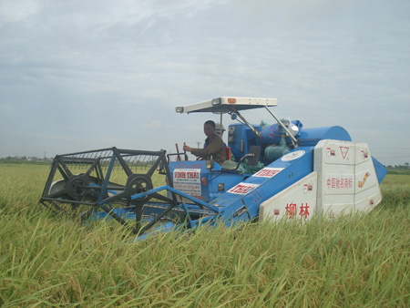 Thắng lợi k&eacute;p trong sản xuất vụ xu&acirc;n