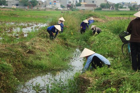 Chuẩn bị mọi điều kiện cho sản xuất vụ m&ugrave;a