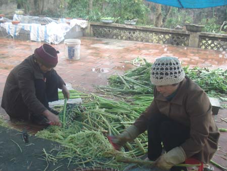 Hỗ trợ hội vi&ecirc;n vay vốn ph&aacute;t triển sản xuất