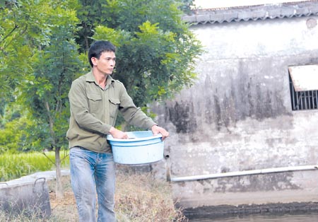 Tho&aacute;t ngh&egrave;o nhờ m&ocirc; h&igrave;nh l&uacute;a - c&aacute;